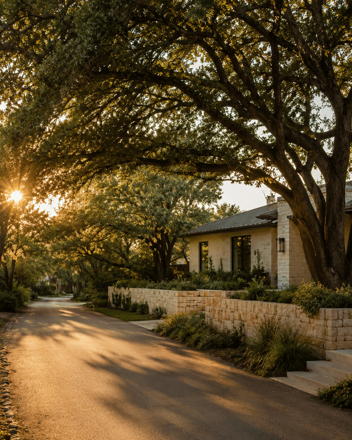 Quiet Austin neighborhood street with mature oaks at golden hour