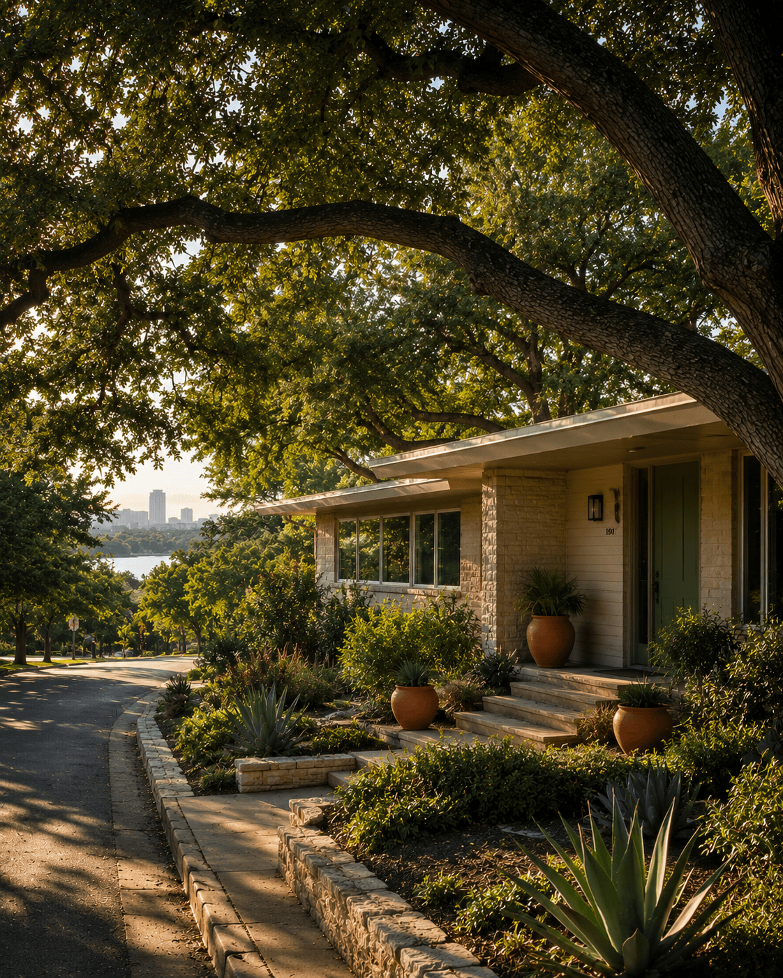 Quiet residential street near Zilker Park in Austin