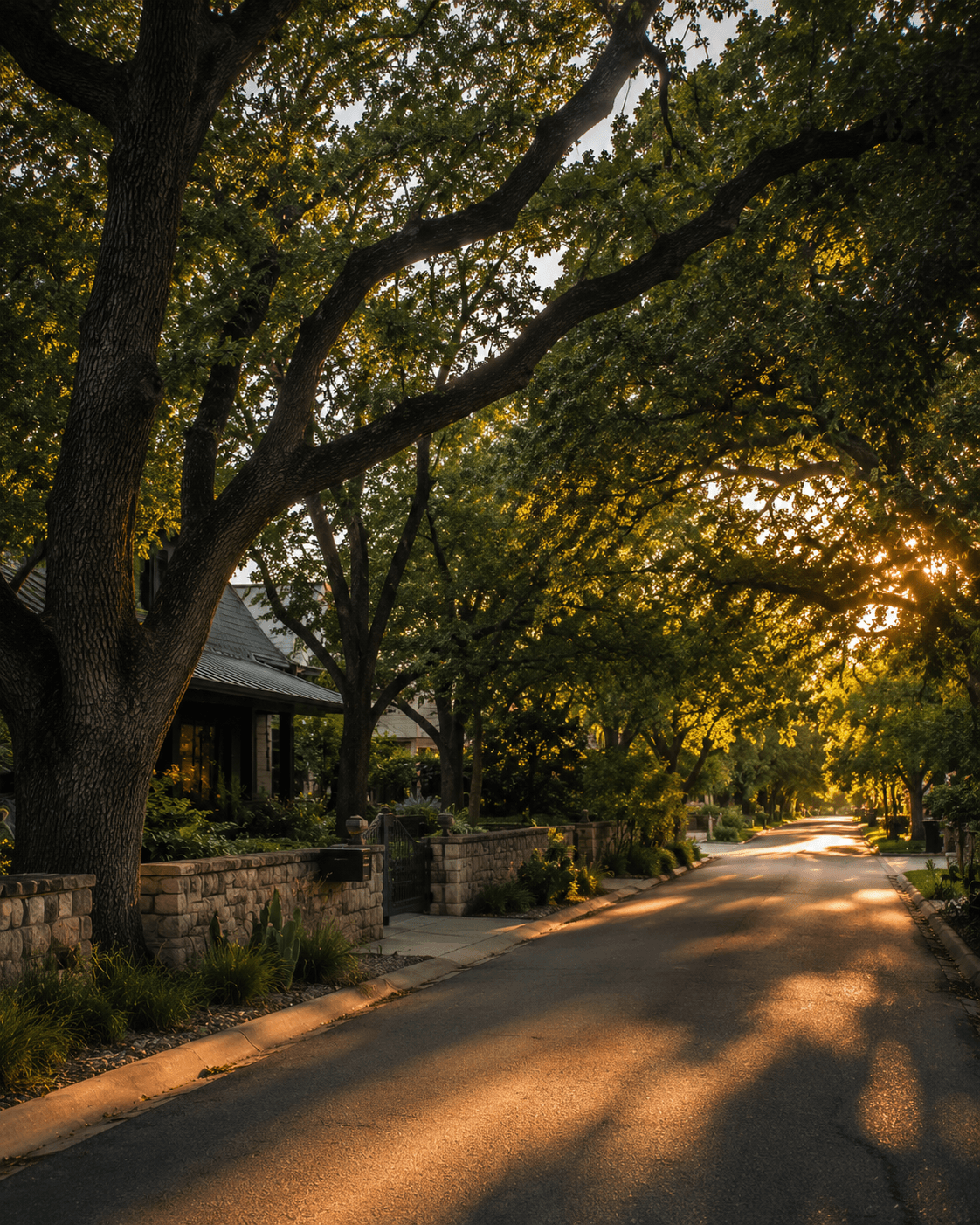 A quiet, tree-lined Austin street