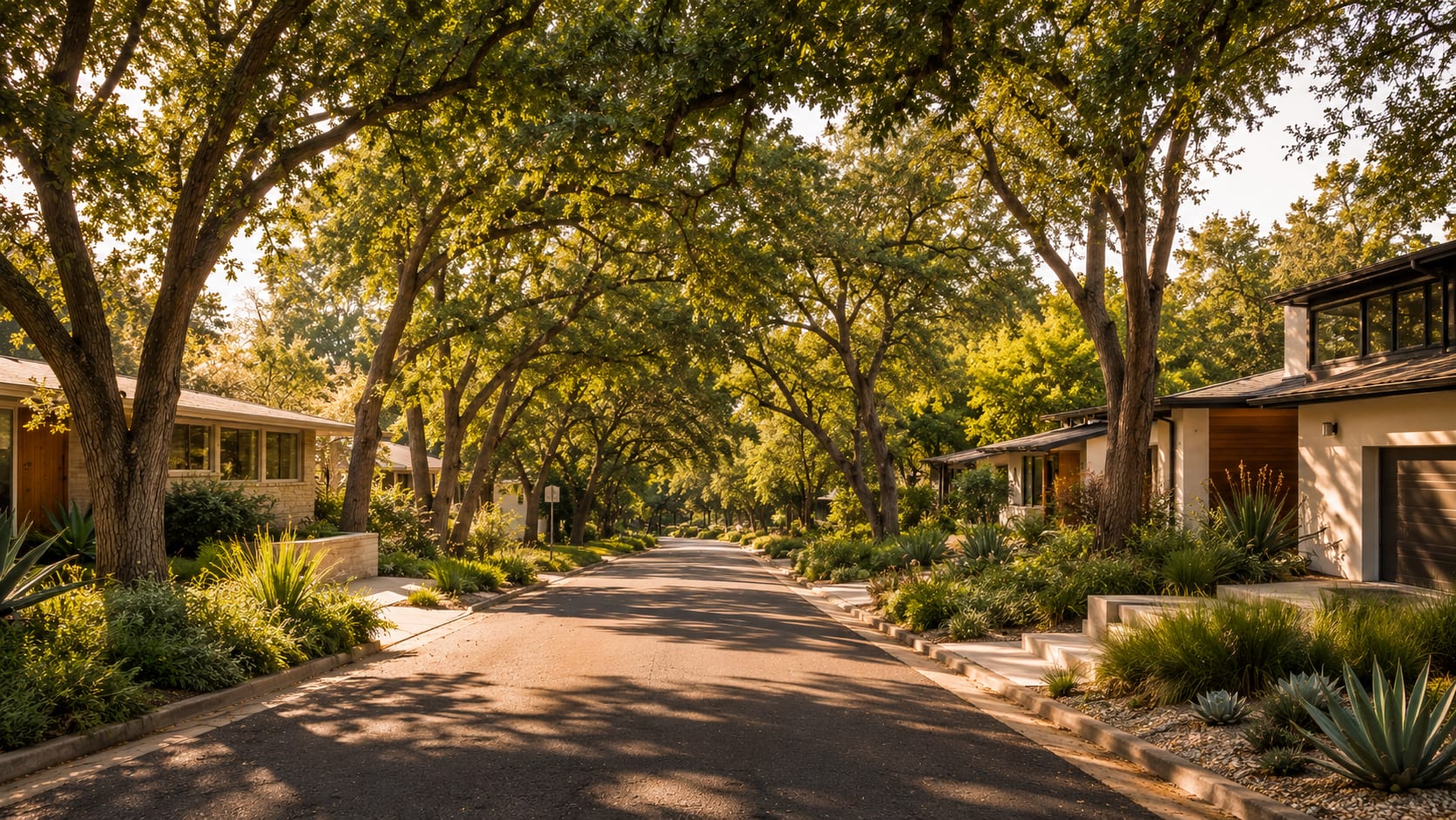 Tree-lined Austin neighborhood street with warm afternoon light