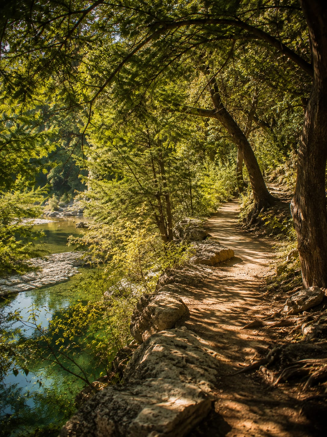 Barton Creek Greenbelt trail running through Austin